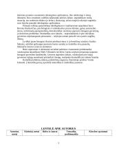 Literatūros atgimimas: naujieji autoriai (B. Radzevičius, S. Šaltenis, B. Vilimaitė, V. Juknaitė) 3 puslapis