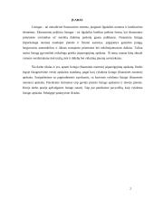 Lizingo apskaita 2 puslapis