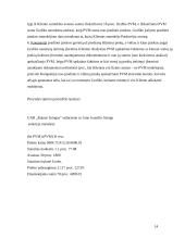 Lizingo apskaita 14 puslapis