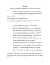 Lizingo apskaita 17 puslapis