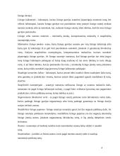 Lizingo apskaita 4 puslapis