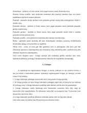 Lizingo apskaita 5 puslapis