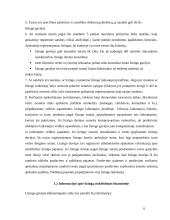 Lizingo apskaita 6 puslapis