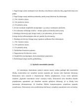 Lizingo apskaita 7 puslapis