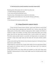 Lizingo apskaita 10 puslapis