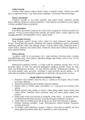 M. Montessori auklėjimo sistema 12 puslapis