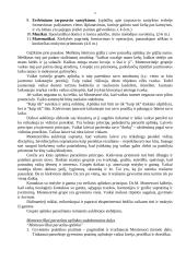 M. Montessori auklėjimo sistema 5 puslapis