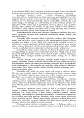 Maironis - lietuvių tautos atgimimo dainius 3 puslapis