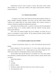 Maisto priedai šiandienos gyvenime 4 puslapis