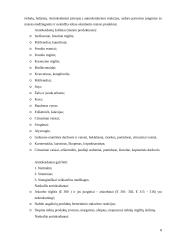Maisto priedai šiandienos gyvenime 8 puslapis