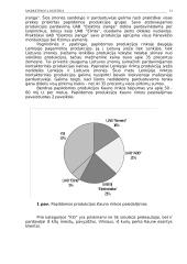 Marketingo logistika 13 puslapis
