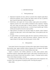 Medžių genėjimas 7 puslapis