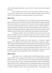 Meksikiečių virtuvės ypatumai 11 puslapis