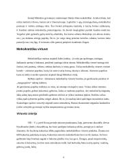 Meksikiečių virtuvės ypatumai 4 puslapis