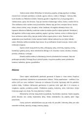 Meksikiečių virtuvės ypatumai 5 puslapis