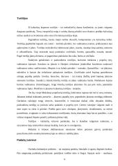 Meksikiečių virtuvės ypatumai 6 puslapis