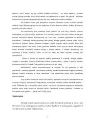 Meksikiečių virtuvės ypatumai 7 puslapis