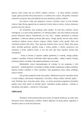 Meksikiečių virtuvės ypatumai 7 puslapis