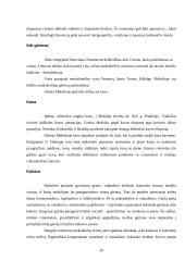 Meksikiečių virtuvės ypatumai 10 puslapis