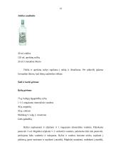 Meksikietiška virtuvė 13 puslapis