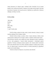 Meksikietiška virtuvė 7 puslapis
