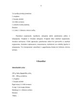 Meksikietiška virtuvė 9 puslapis