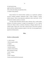 Meksikietiška virtuvė 10 puslapis
