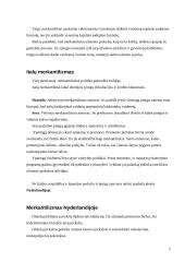 Merkantilistai 4 puslapis