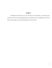 My native town: Mažeikiai 3 puslapis