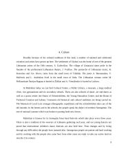 My native town: Mažeikiai 9 puslapis