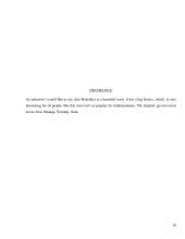 My native town: Mažeikiai 10 puslapis