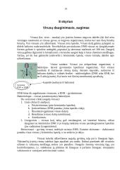 Mikrobiologijos mokslo teorija. Mikroorganizmai 14 puslapis