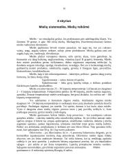 Mikrobiologijos mokslo teorija. Mikroorganizmai 10 puslapis