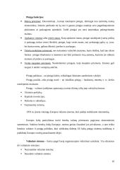 Informacija apie ekonomikos mokslą 16 puslapis