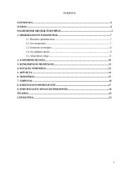 Mikroklimato parametrų normavimas ir jų gerinimas 2 puslapis