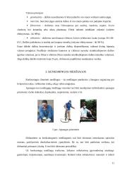 Mikroklimato parametrų normavimas ir jų gerinimas 11 puslapis