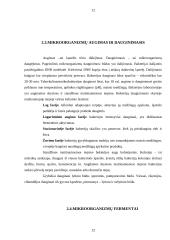 Mikroorganizmų morfologija ir mikroorganizmų fiziologija 11 puslapis