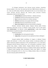 Mikroorganizmų morfologija ir mikroorganizmų fiziologija 12 puslapis