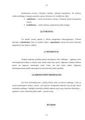 Mikroorganizmų morfologija ir mikroorganizmų fiziologija 13 puslapis