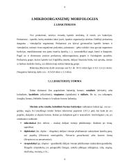 Mikroorganizmų morfologija ir mikroorganizmų fiziologija 3 puslapis