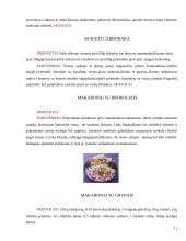 Miltiniai maisto produktai 11 puslapis