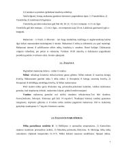Miltiniai maisto produktai 7 puslapis