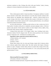 Miltiniai maisto produktai 8 puslapis