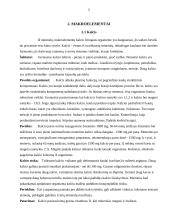 Mineralinės medžiagos ir jų svarba organizmui 5 puslapis
