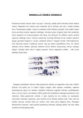 Minimalus žemės dirbimas, ražieninė sėja 4 puslapis