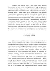 Miškai ir jų apsauga 13 puslapis