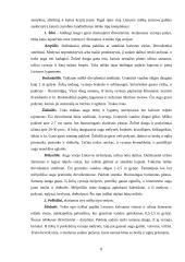 Miškai ir jų apsauga 8 puslapis