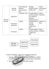 Energijos virsmai organizme 5 puslapis