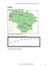 Mobiliojo ryšio operatorių Lietuvoje analizė 11 puslapis