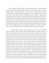 Modernistinis Pirandello teatras 2 puslapis